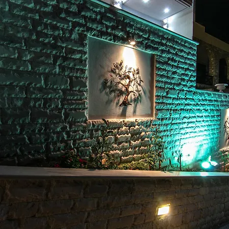 Golden Blue כריסי אמודיה