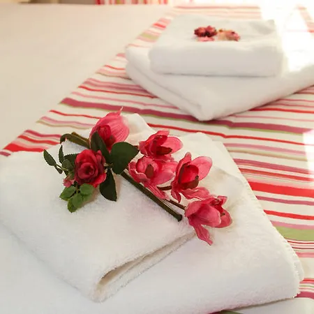 Golden Blue כריסי אמודיה