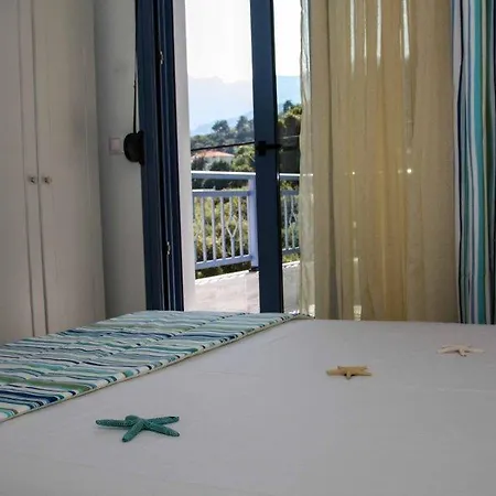 Golden Blue כריסי אמודיה